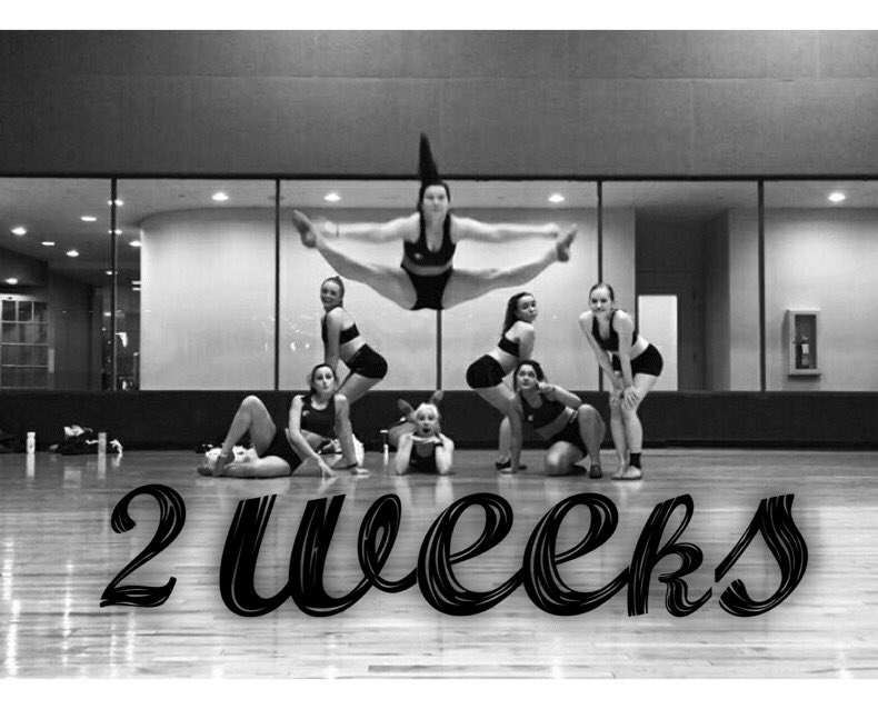 Less than 2 weeks until tryouts! Email nmuwildcatdanceteam@gmail.com for more information.
