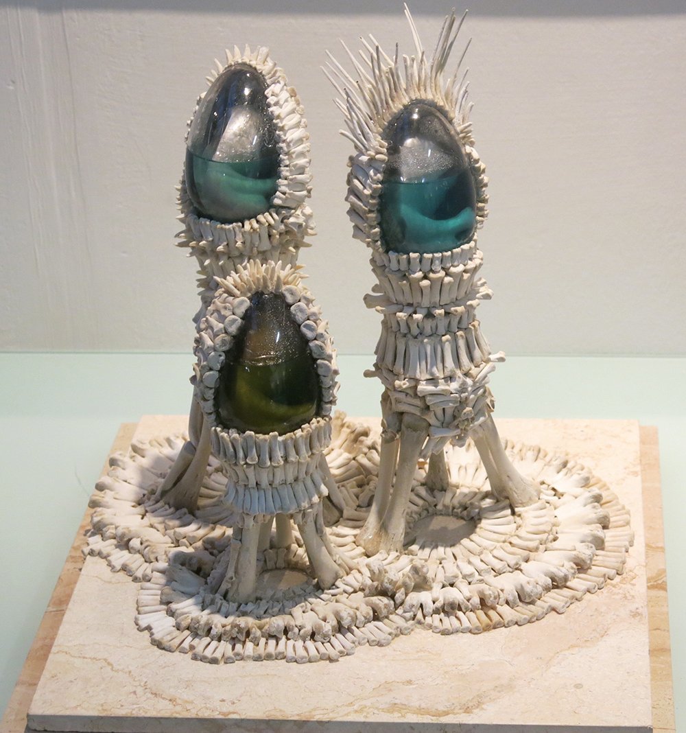 ShopCurious tweet media