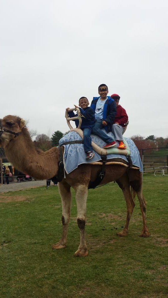 roxi_ordonez's tweet photo. En Reston Zoo @BarrettAPS @APSface @Lita15Jaldin @KWBTorres @KWBPorter @rosmeryAPerez #SpringBrkAps #kwbpride https://t.co/KXi3KyNxYT