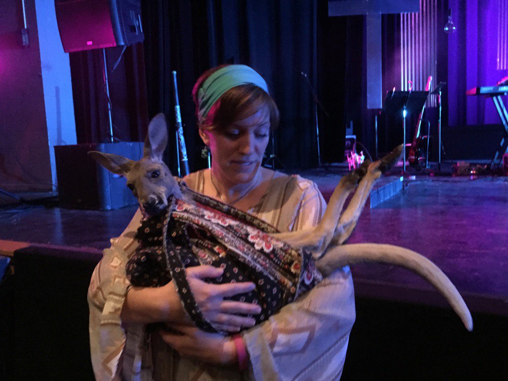MustardSeedTH's tweet photo. Held a #kangaroo today #enoughsaid #awesomesauce https://t.co/haqzeB6RSd
