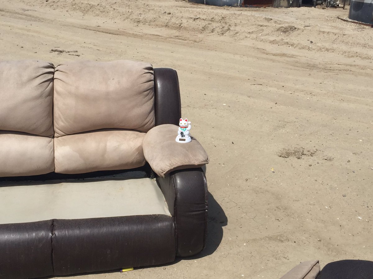 MollySchuyler's tweet photo. #plasticwavingkittyonepicabandonedcouches #waytogocalifornia https://t.co/hG2g1o7KNR