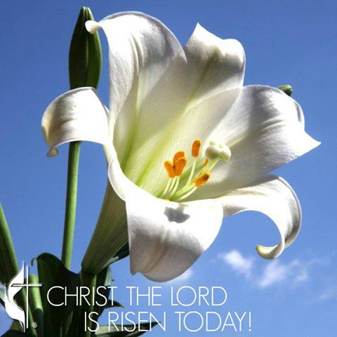 We know that Christ, being raised from the dead, will never die again; death no longer has dominion over him.Rom 6:9