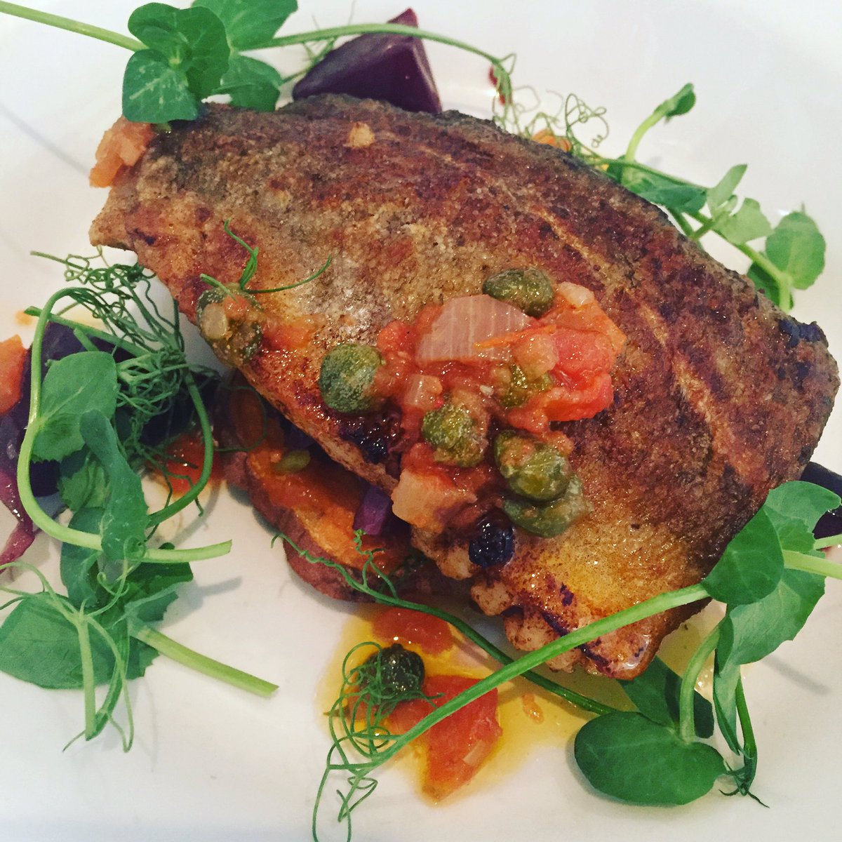the_grubbuddy's tweet photo. A great looking dish...shame about the taste 😕 Cod, Sweet Pots w/Tomato &amp; Caper Salsa #pontcanna #theconway #foodie https://t.co/VDs17Cre0g