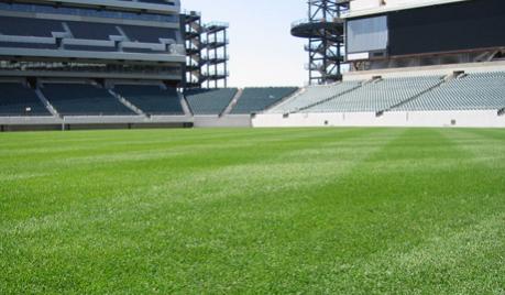 Proper field care this spring will help maximize safety and playability in the fall.

Here: bit.ly/22AmSsM