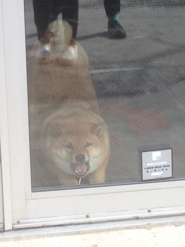 9GAG's tweet photo. When you misread a situation and realise your mental breakdown wasn't necessary https://t.co/7IXX7F4Hqi