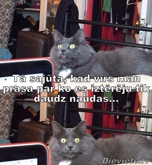 Dieviete.lv (@dievietelv) on Twitter photo 