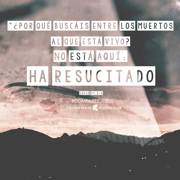 entreCristianos's tweet photo. #ComparteJesus ¡Ha resucitado! | Composición de @GabrielaPerezG https://t.co/ytEo0JXZMD
