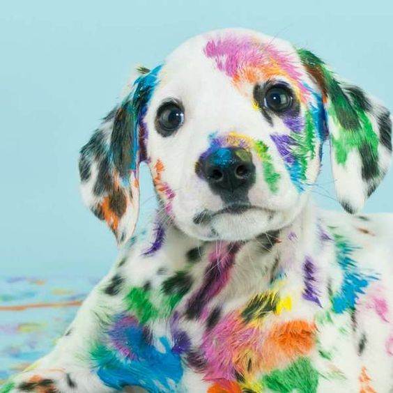 spirithoods's tweet image. #CraftFail