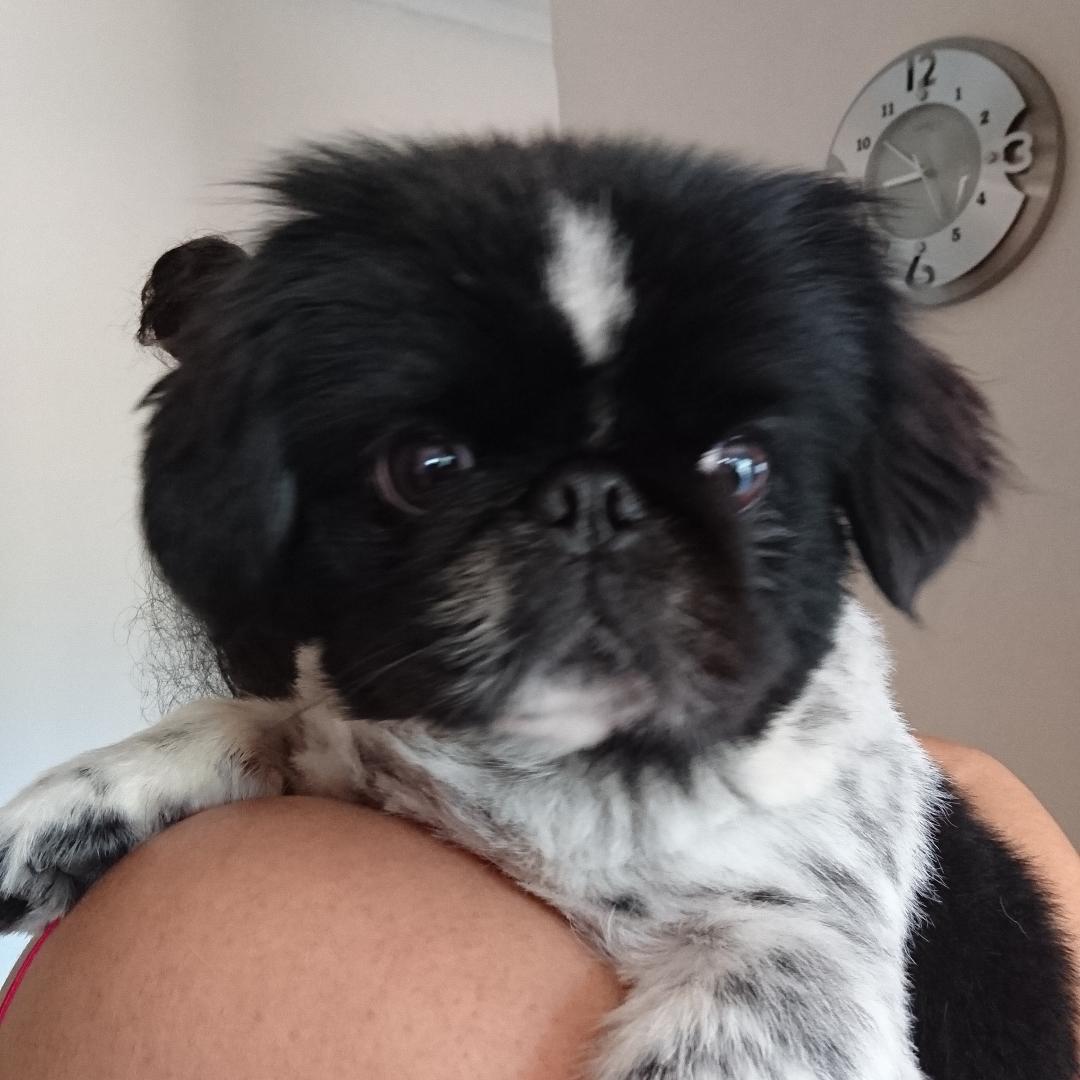 alka3011's tweet photo. Missing this little face 😘 https://t.co/eYc2o3sqV9