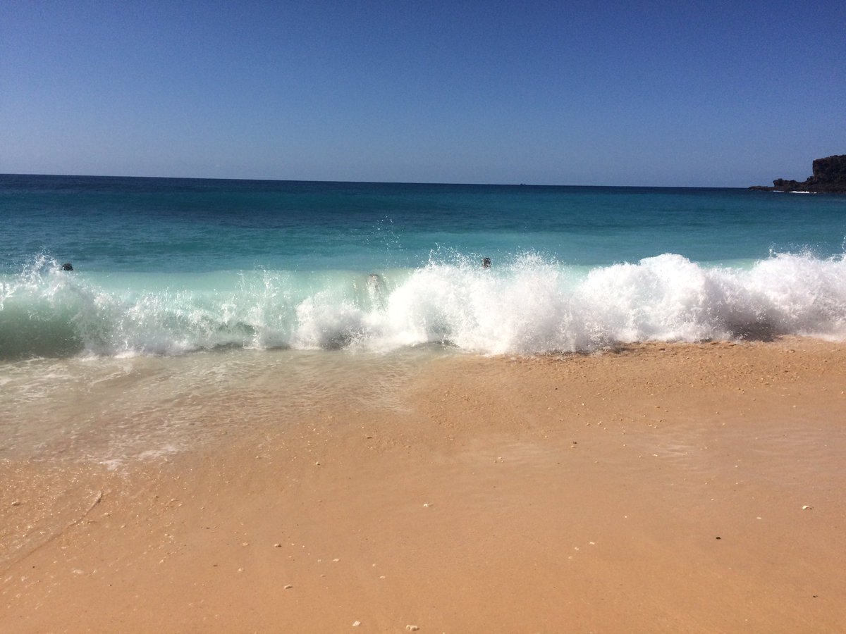haleyyyreed's tweet photo. so a wave about 3 ft taller than me pummeled me and i was left crawling out of the water :))))) https://t.co/pwHf3NGYZP