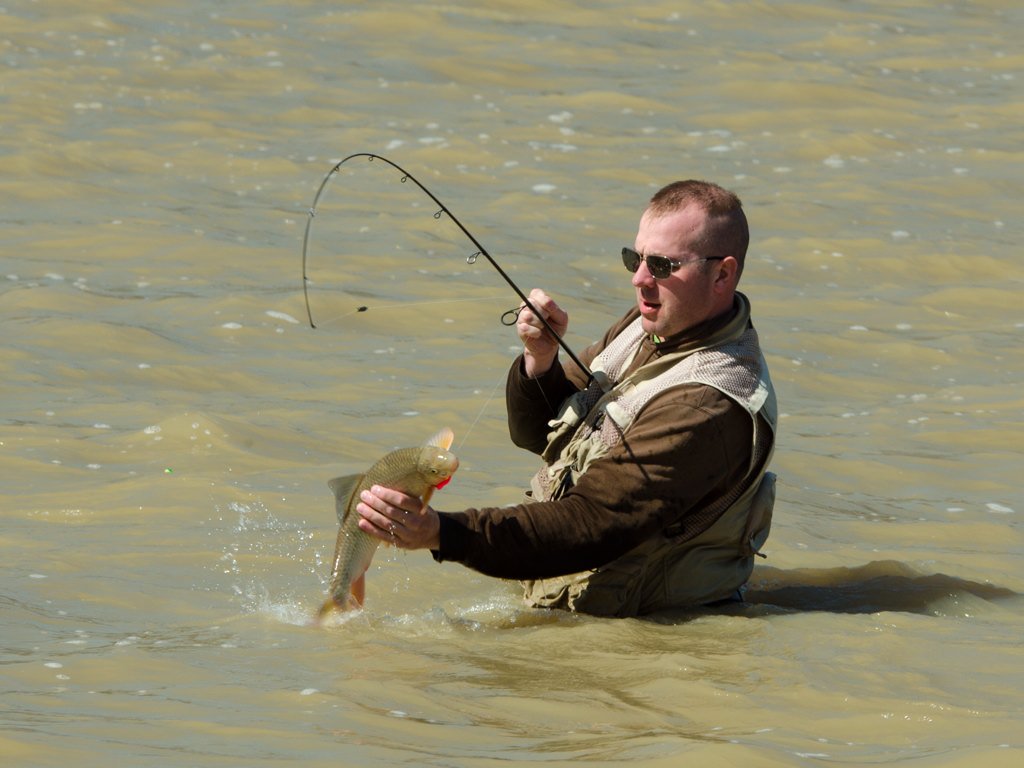 Caught one. #walleye #walleyerun #maumeeriver <a href="/Maumee_river/">Maumee_River_Report</a> <a href="/MyMetroparks/">Metroparks Toledo</a>