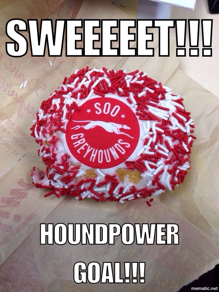CskiChris's tweet photo. @Timmy_Getts26 quickly extends the @OHLHoundPower lead to 3-0! #Playoffs #RoadDawgs #PowRedUp https://t.co/B02Rz8AhUS