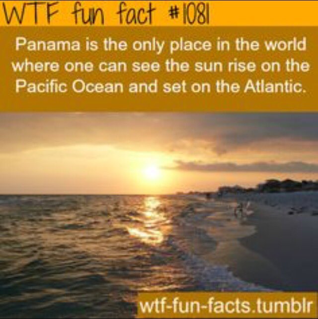 RFFDaily's tweet image. 🌴☀️🐚