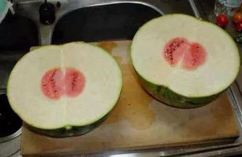 this watermelon is the most disappointing thing I've ever seen in my life