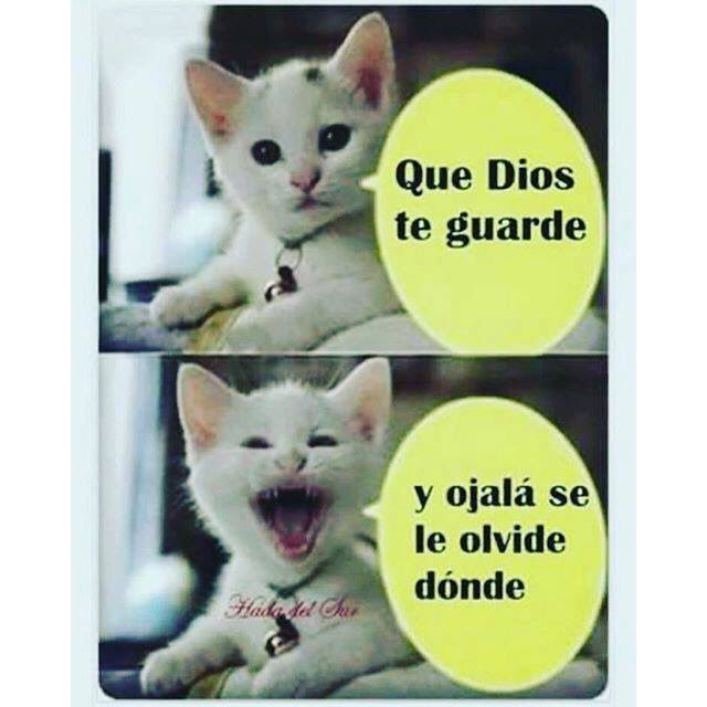 YinethDM's tweet image. 😜