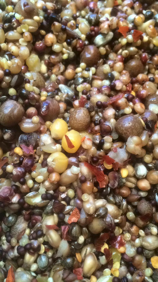 matt_whalley35's tweet photo. https://t.co/JlDN0OXXFP for any custom mix tailored specifically upon your request! #SecretsLockedIn #CustomMix #DBP https://t.co/KJN8KZgPZS