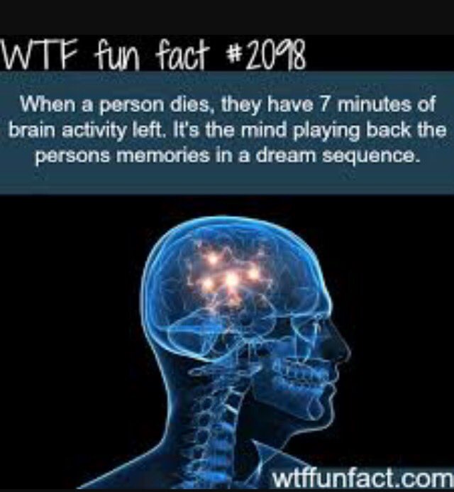 RFFDaily's tweet image. 💭 I wonder what my whole life would look like summarized in 7 minutes💭