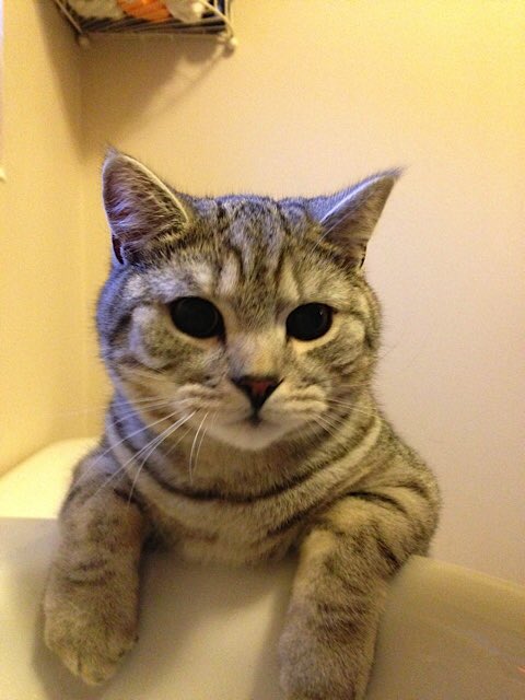 Rudy pic