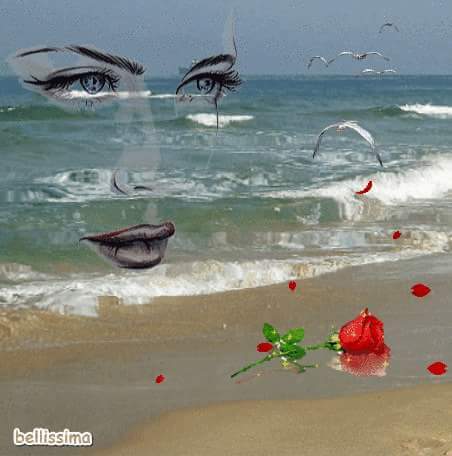 مصطفى فاروق (@mostafafarok08) on Twitter photo 