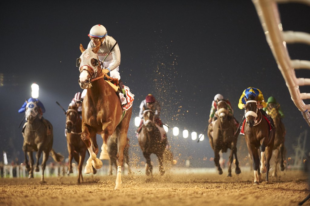 TurfClubRadio's tweet photo. Dubai commentator @GCapewell joins us to review the #DubaiWorldCup this week on #TurfClubRadio [pic  @WatkinsPhotos] https://t.co/gtgjG60NZa