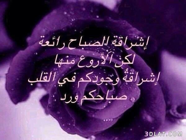 cnnc1290's tweet photo. اكثروا من قول 
﴿ رب اغفر لي و لوالديّ ﴾ 
فإنها تجمعُ بين عبادتين :
البر ، والإستغفار 💜

صباح الخير ♢ https://t.co/E8opxYMqj1