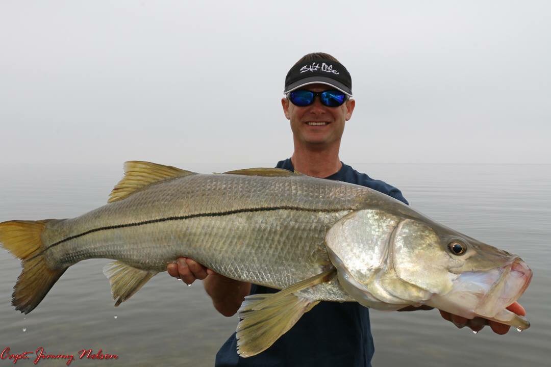 Jimmy Nelson (@captjimmynelson) on Twitter photo Big snook <a href="/RealSaltLife/">Salt Life</a> <a href="/FishinwithLuiza/">Fishing with Luiza</a> <a href="/wileyx/">Wiley X</a> @ShimanoFishUSA <a href="/Sunsect15/">Sunsect</a> <a href="/DrDansLipBalm/">Dr. Dan's Lip Balm</a> <a href="/GAFFMagazine/">GAFF Magazine</a> @IDoFishFL Big snook <a href="/RealSaltLife/">Salt Life</a> <a href="/FishinwithLuiza/">Fishing with Luiza</a> <a href="/wileyx/">Wiley X</a> @ShimanoFishUSA <a href="/Sunsect15/">Sunsect</a> <a href="/DrDansLipBalm/">Dr. Dan's Lip Balm</a> <a href="/GAFFMagazine/">GAFF Magazine</a> @IDoFishFL