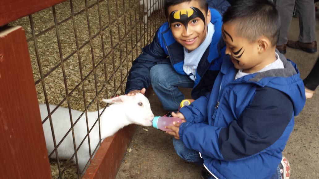 roxi_ordonez's tweet photo. RestonZoo@BarrettAPS @APSface @Lita15Jaldin @KWBPorter @KWBTorres @felisafeliz02 @lsullivan #SpringBrkAps #kwbpride https://t.co/qvMI9fhitA
