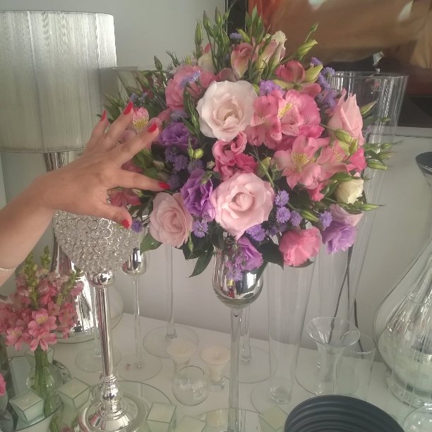 ElizabethPinhe6 tweet picture
