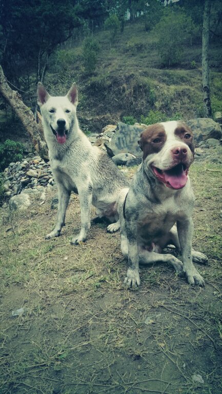 Collins_Broown's tweet photo. @Flirt4Free @Flirt4FreeGuys @camguynews #pets#family#enjoy https://t.co/D7hgBWjp03