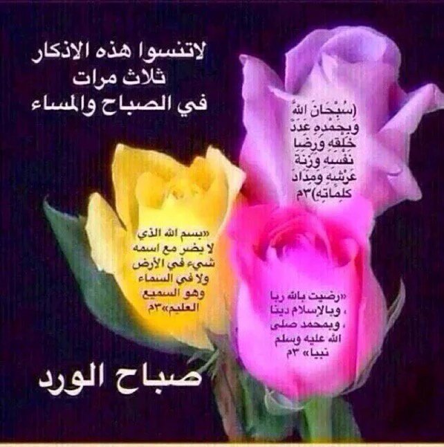 k_189's tweet photo. https://t.co/dHgDA2aW6N