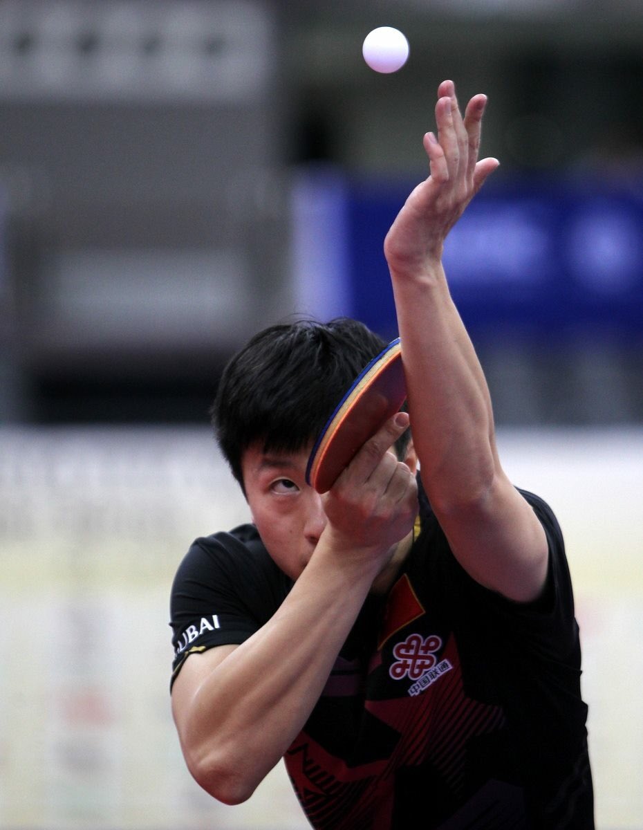 qtta_qa's tweet photo. #Ma_Long #the_dragon is the 2016 #Qatar_Open2016 Champion with a 4-1 victory over #Fan_Zhendong
🏓🏓🇨🇳 #china . https://t.co/Wwtc274GFL