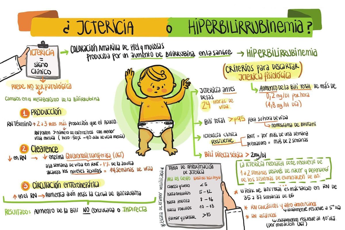 MedicinaCrash's tweet photo. Ictericia vs hiperbilirrubinemia. @drcarlosrepetto https://t.co/s06UUWPJWB