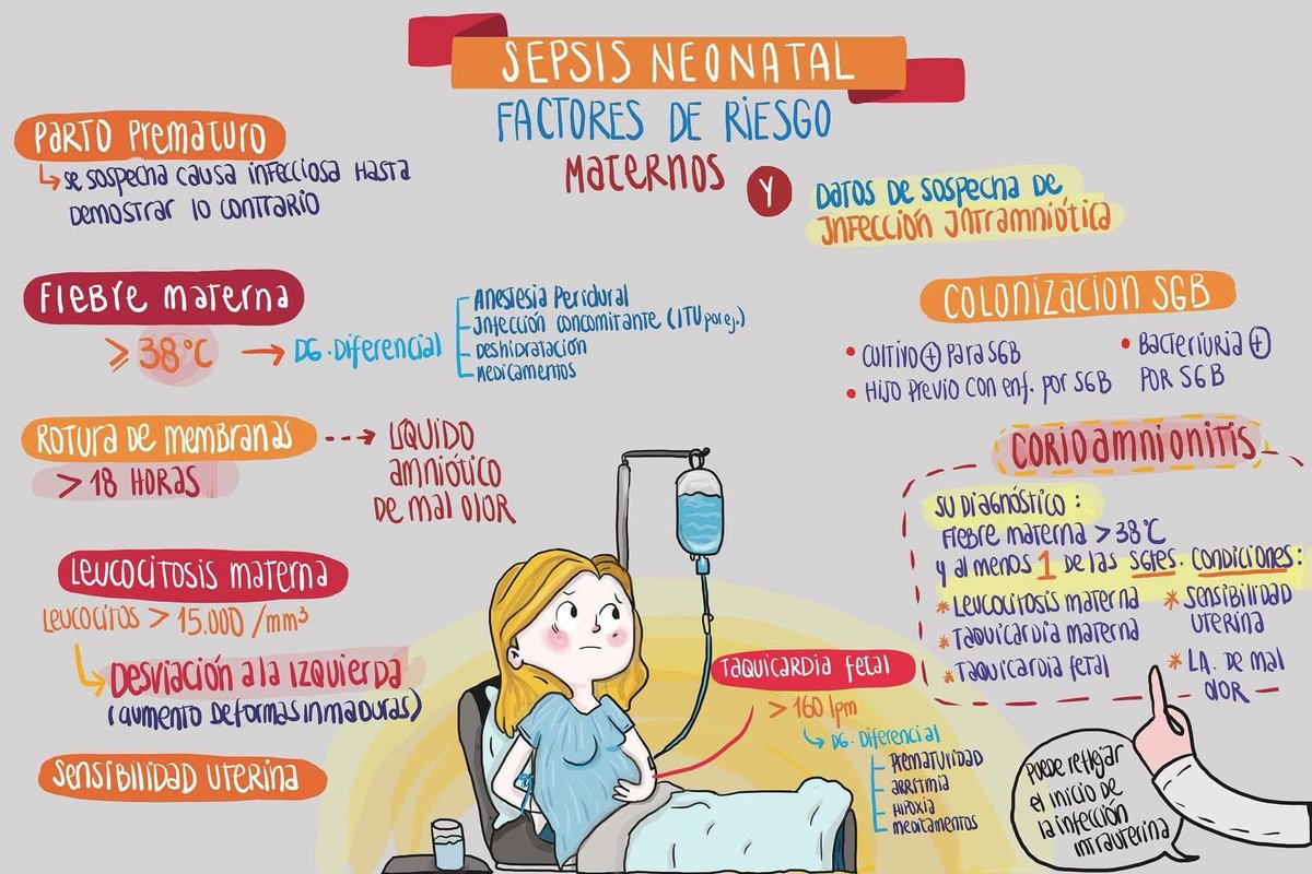 MedicinaCrash's tweet photo. Sepáis neonatal. @drcarlosrepetto https://t.co/zkpWIP7AJh