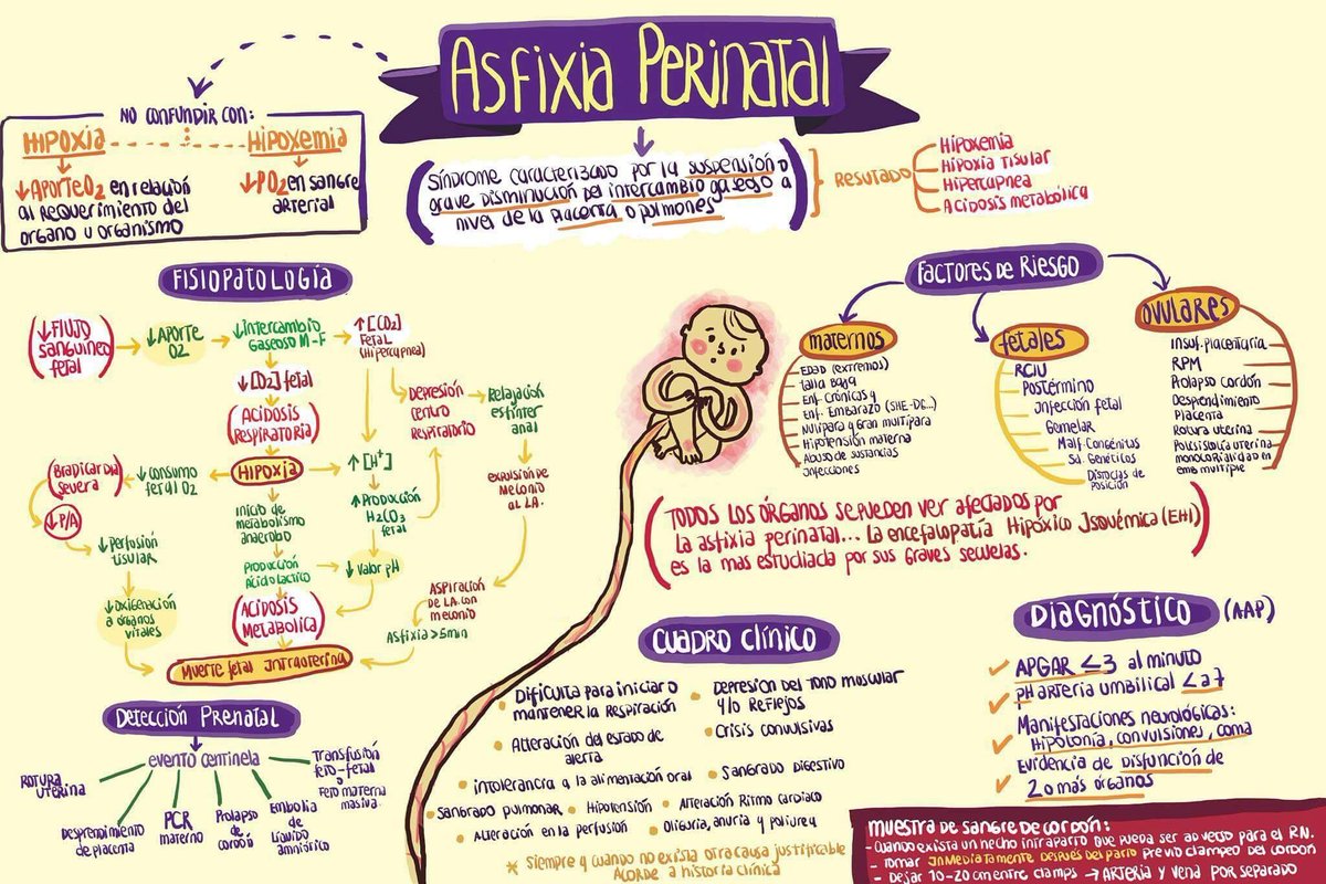 MedicinaCrash's tweet photo. Asfixia perinatal. @drcarlosrepetto https://t.co/RN5KJ2PueR