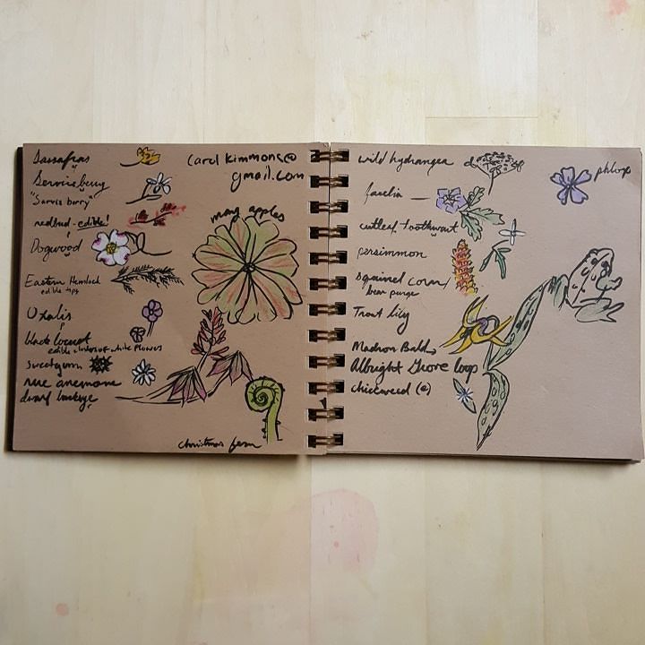 Hollie Berry tweet media