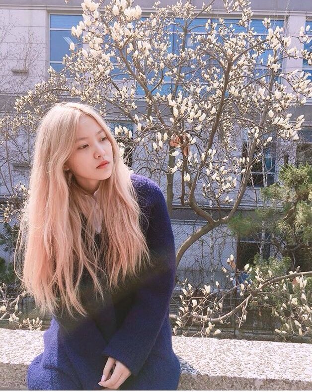 19990305Y's tweet photo. Perfect monday #예리 #YERI https://t.co/x92oumifKS