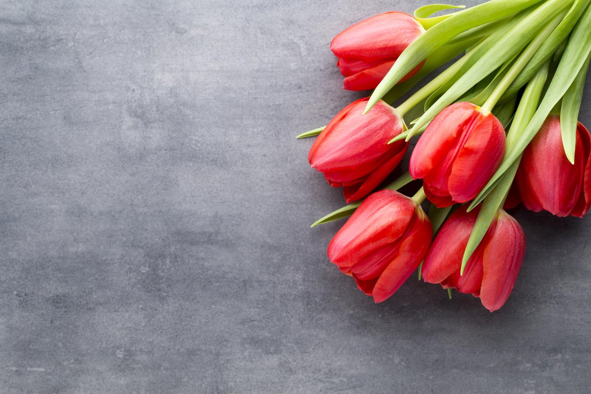 judithspitz's tweet photo. Happy Easter to you and your family! https://t.co/KUEbtlqD27