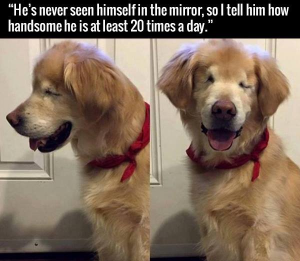 AdultxxxHumor's tweet photo. He is so cute https://t.co/EAPDlB9nrM