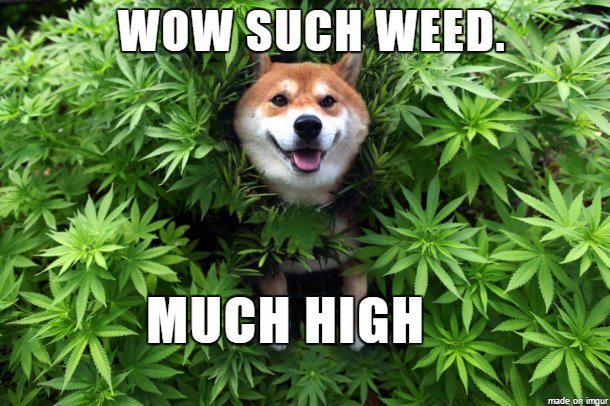 DankTime420's tweet photo. #420 https://t.co/Cnj8RSxX4D