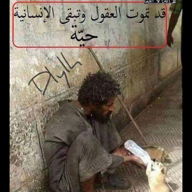 mshlm's tweet photo. https://t.co/huKn33KMlH