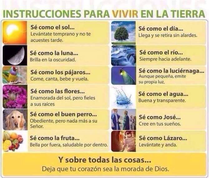 EBurdiel's tweet image. 