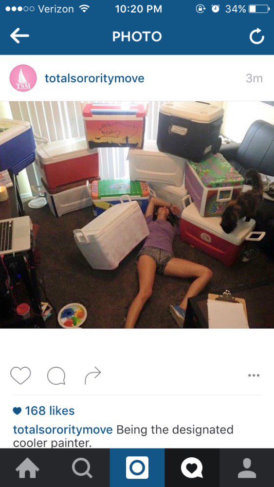 stephchong349's tweet photo. The posts Carli tags me in 😂 literally SO ACCURATE https://t.co/a5e2G2RBHQ