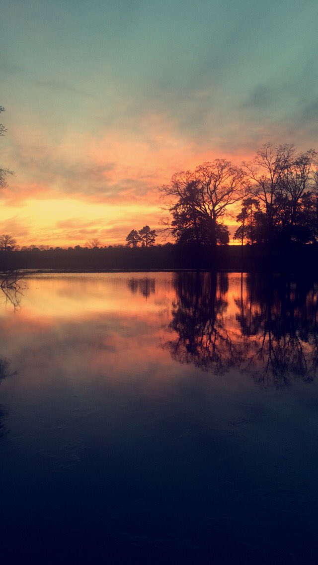 hannahs_33's tweet photo. Can I do spring break over please? #takemeback https://t.co/XYAomTLkib