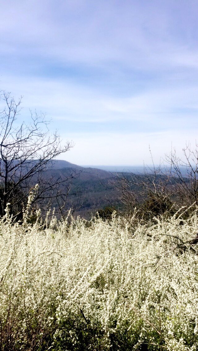 hannahs_33's tweet photo. Can I do spring break over please? #takemeback https://t.co/XYAomTLkib