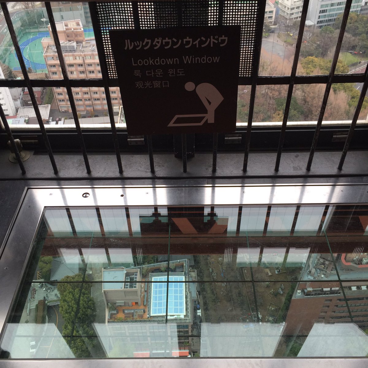 Touko921 東京タワー ルックダウンウィンドウから下を覗くのはむり ムリ 無理 T Co Mxfvmswkas