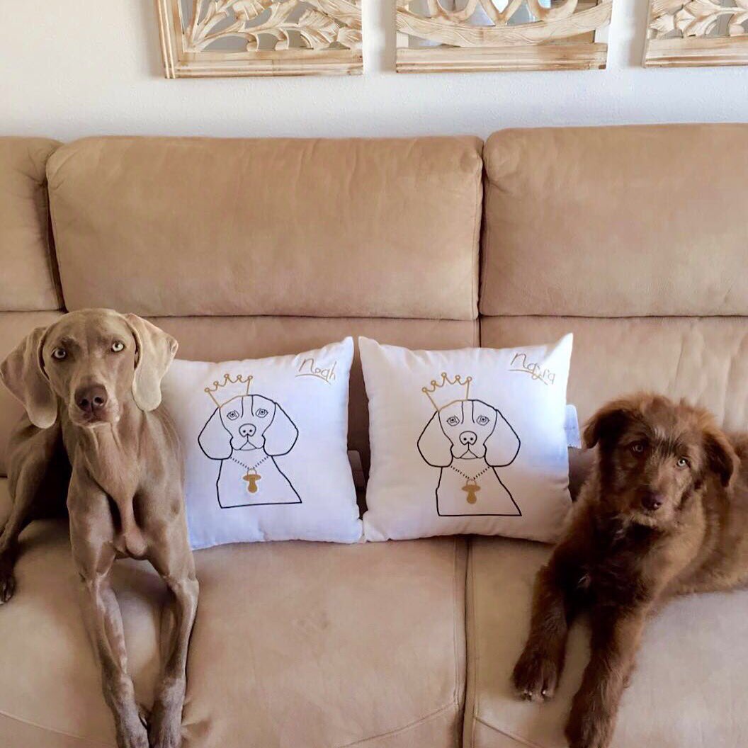 airamb10's tweet photo. Un placer colaborar con @ElevenMia Y más con estas dos preciosidades..  A Noah y a Nayra les encanta. https://t.co/6vrZNQhVqZ