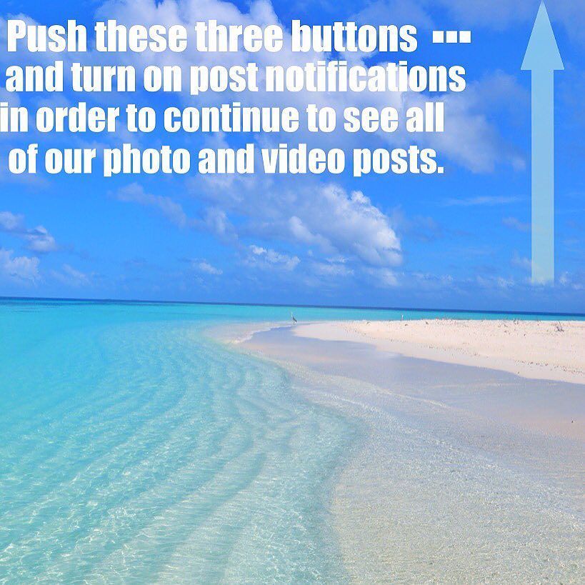 Lauren_Hut_SEO's tweet image. 👆🏼Click the link in bio to read more.👆🏼#postnotifications #notifications Unfortunately starting tomorrow IG will st…