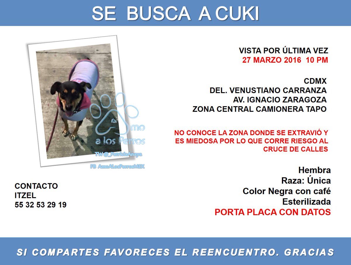 _PatriciaAnaya's tweet photo. #SOS ZONA CAMIONERA #TAPO PEQUE #Cuki #Extraviada 27MZO 10 PM #RT @buscadeunhogar @IsabelJunco @JBalbuenaDF https://t.co/obCLqg1ogz