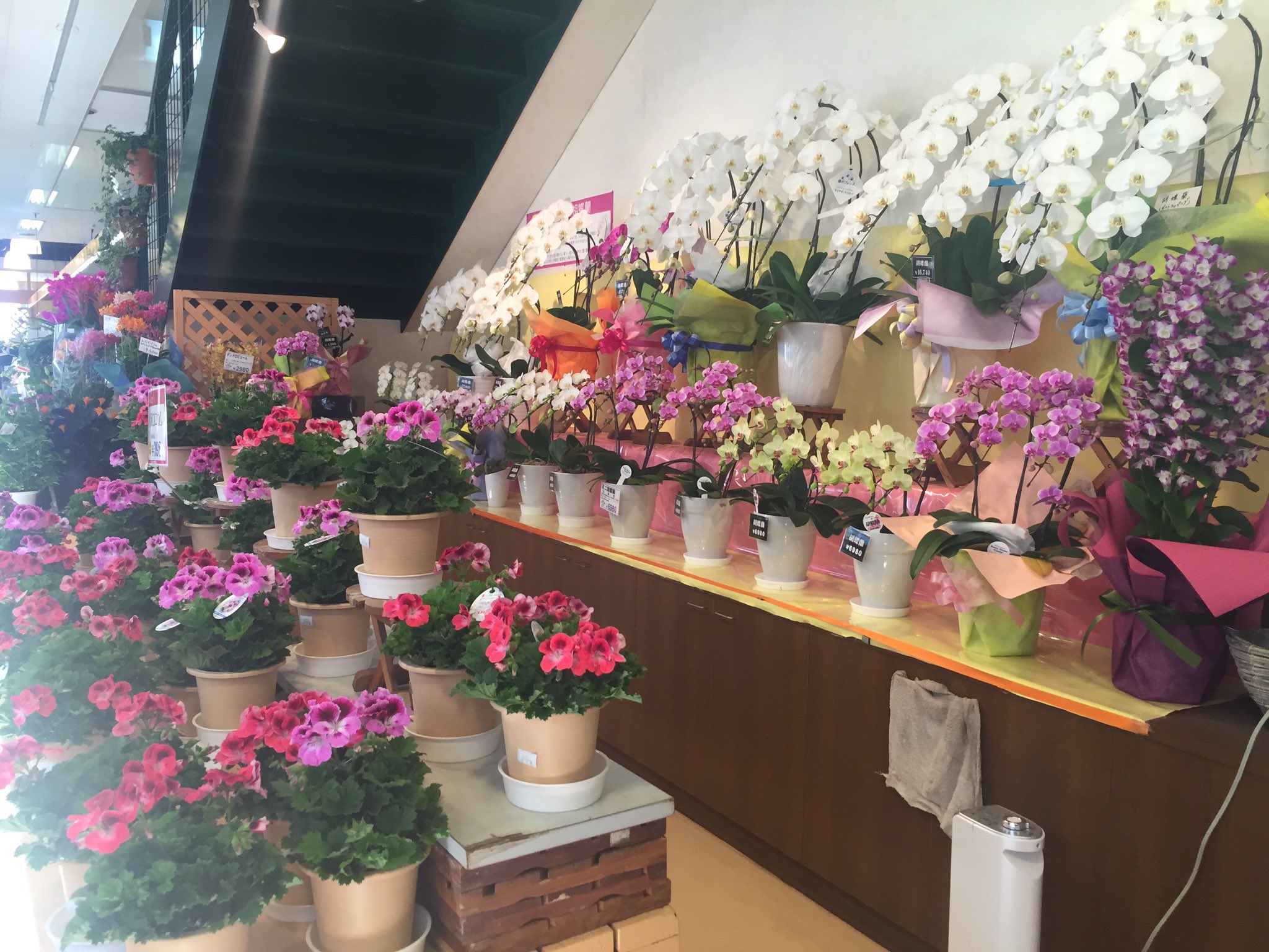 花工場 Flowerfactory Twitter