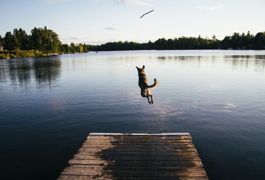 "..In life it's not where you go that matters. It's who you travel with..."